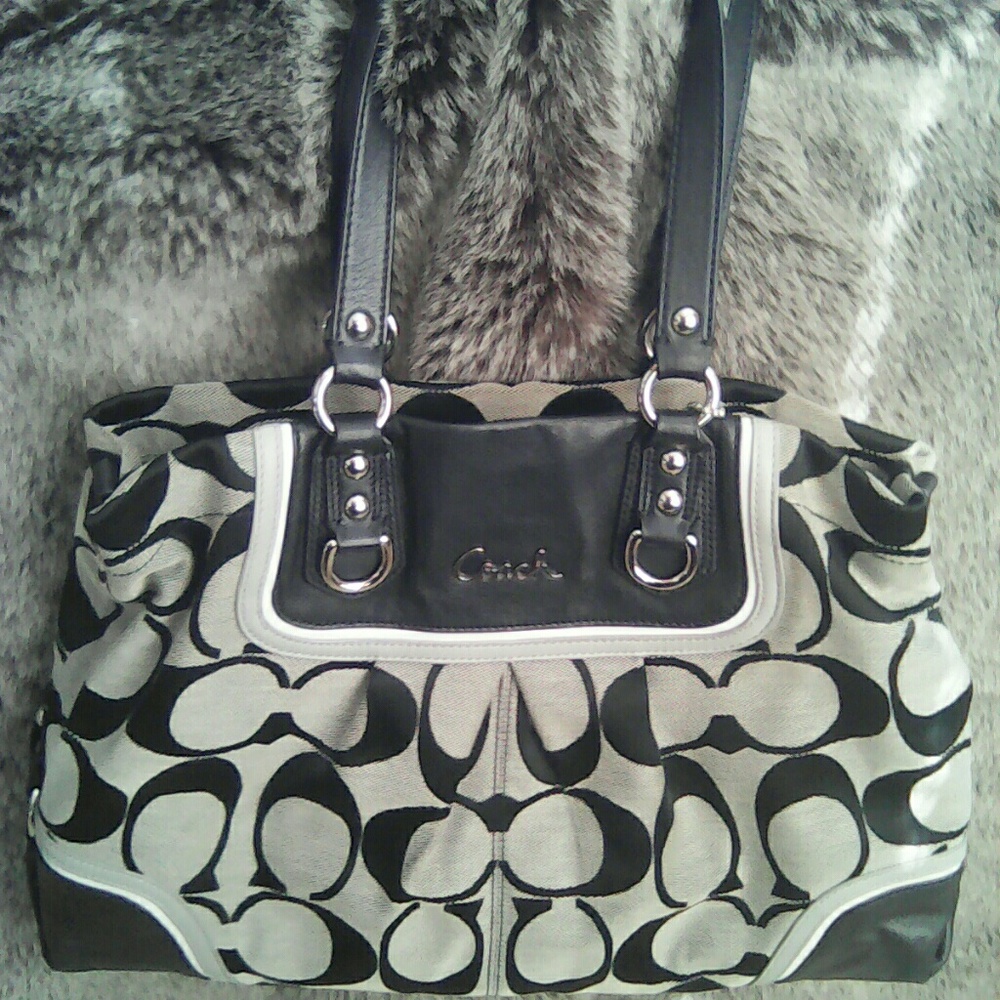 Coach Signature Ashley Carry All E1294-F17446